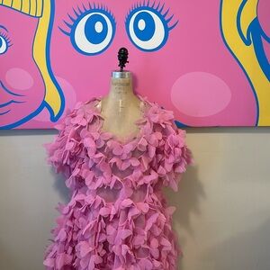 Paskal Pink Floral Swing Dress